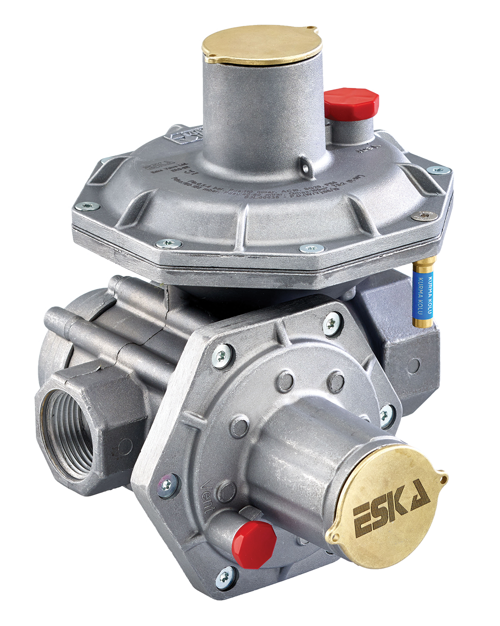 Double Stage Pressure Regulators - ERG-SR Series