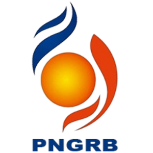  Industrial Gas Meter Manufacturer in India